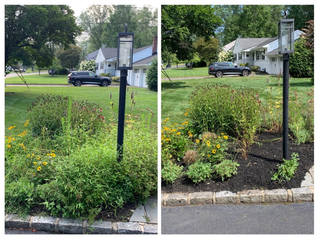 Services 1014508C 204F 4308 990D 458E79C36958 2 1024x769