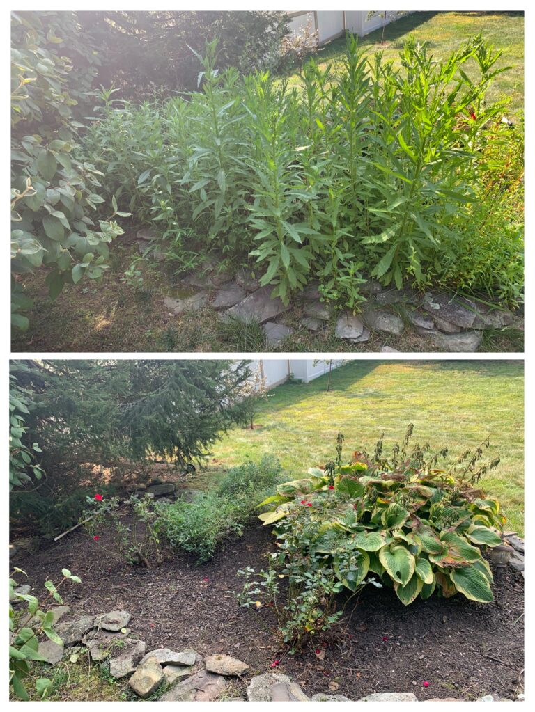 B67C30E6 66B4 4521 A26F 22C21C0BC6F5 2 768x1023