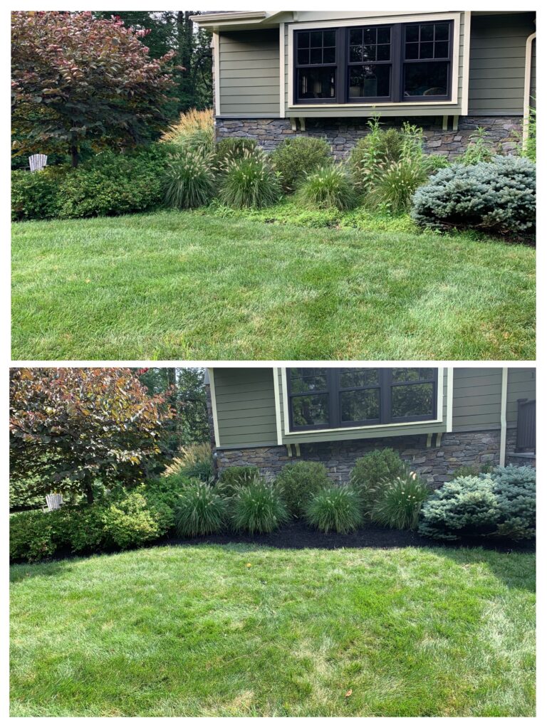 D5AED0F0 711C 432C A217 D1B7B1143DC4 2 768x1023